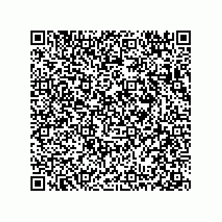 vCard 78313360203