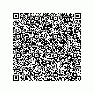 vCard 78313360205