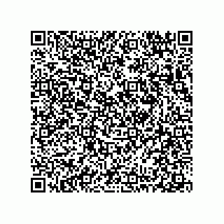 vCard 78313360206