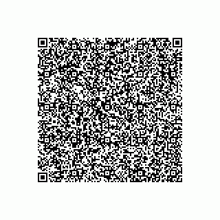 vCard 78313360208