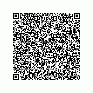 vCard 78313360209