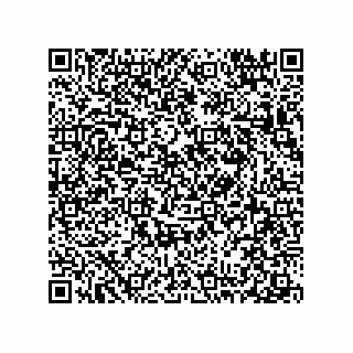vCard 78313360210