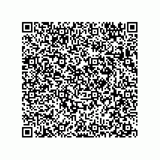 vCard 78313360211