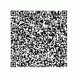 vCard 78313360220