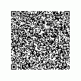 vCard 78313360221