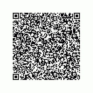 vCard 78313360225