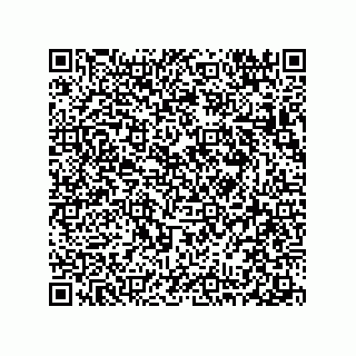 vCard 78313360280