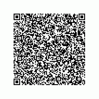 vCard 78313360281
