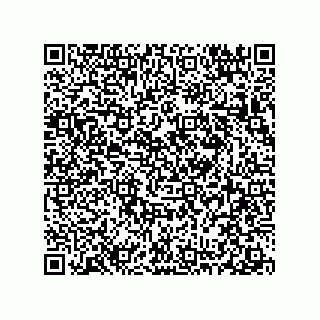 vCard 78313360290
