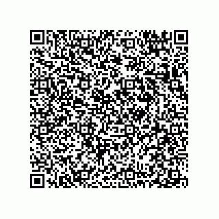 vCard 78313360301