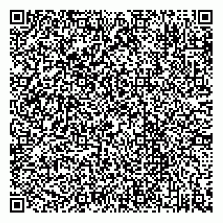 vCard 78313360302