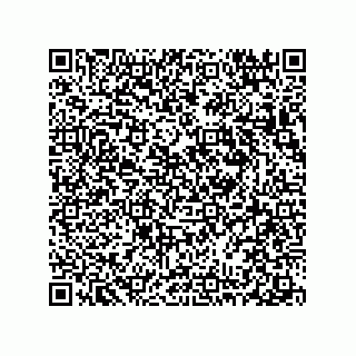 vCard 78313360304