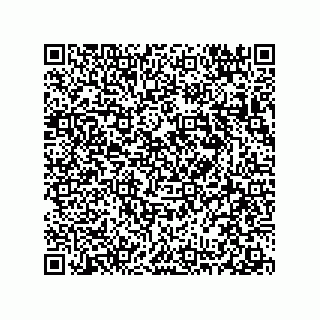 vCard 78313360305