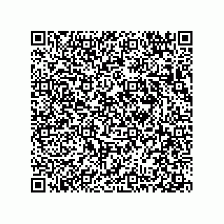 vCard 78313360310