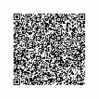vCard 78313360317