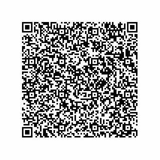 vCard 78313360321