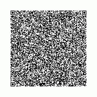 vCard 78313360330