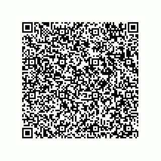 vCard 78313360333