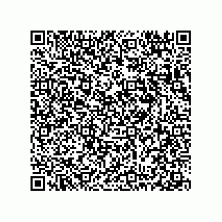 vCard 78313360335