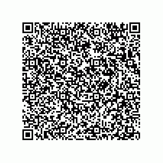 vCard 78313360340