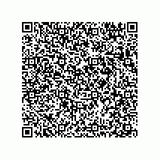 vCard 78313360370