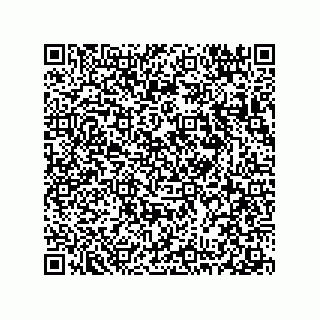 vCard 78313360377