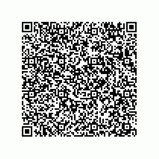 vCard 78313360378