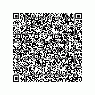 vCard 78313360381