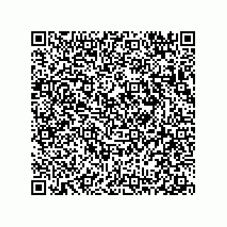 vCard 78313360382
