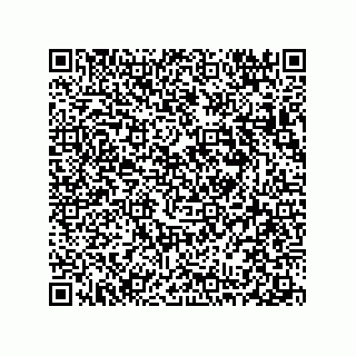 vCard 78313360385