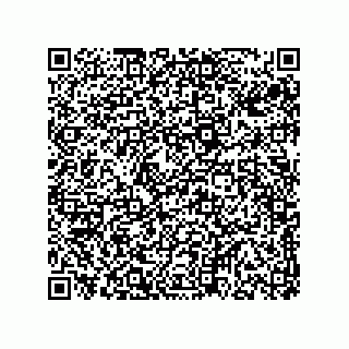 vCard 78313360386