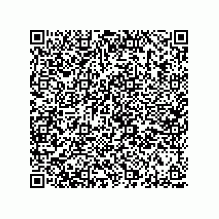 vCard 78313360387