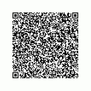 vCard 78313360393