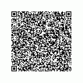 vCard 78313360398