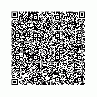 vCard 78313839111