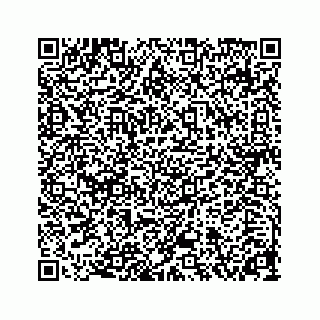 vCard 78313839131