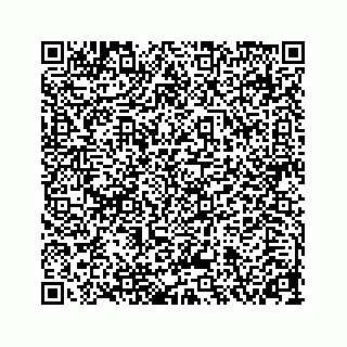 vCard 78313839133
