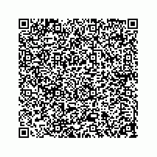 vCard 78313839171