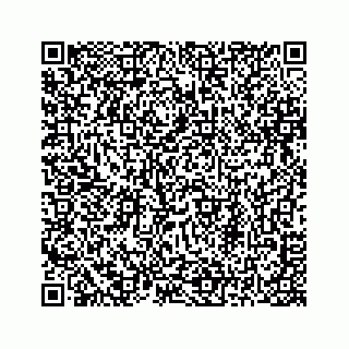 vCard 78313839177