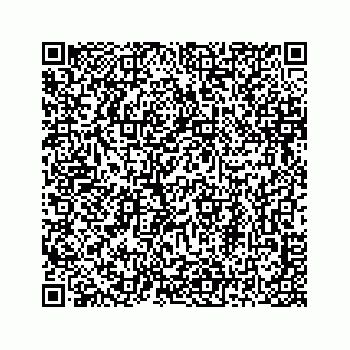 vCard 78313839179