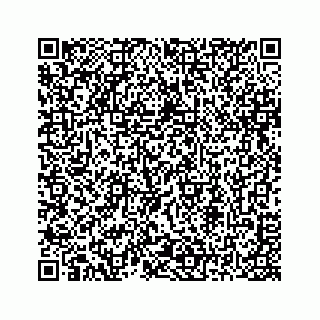 vCard 78313839205