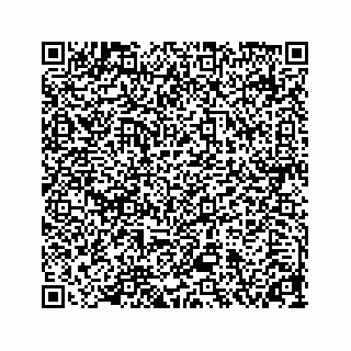 vCard 78313839209