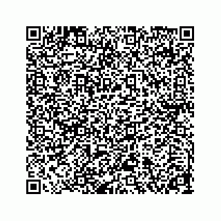 vCard 78313839271