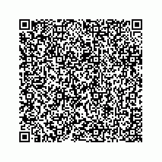 vCard 78313839299