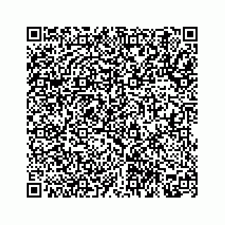 vCard 78314160313