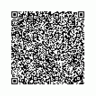 vCard 78314160379
