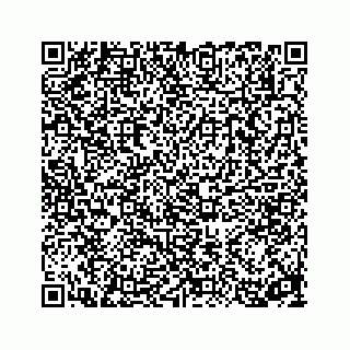 vCard 78314160380
