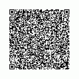 vCard 78314160387