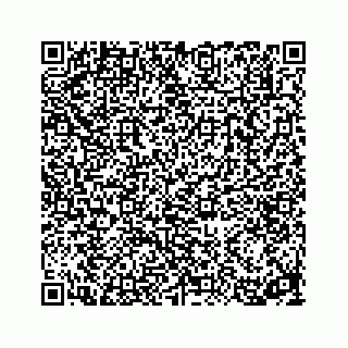 vCard 78314160413