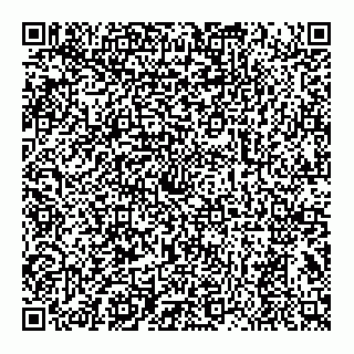 vCard 78314164033